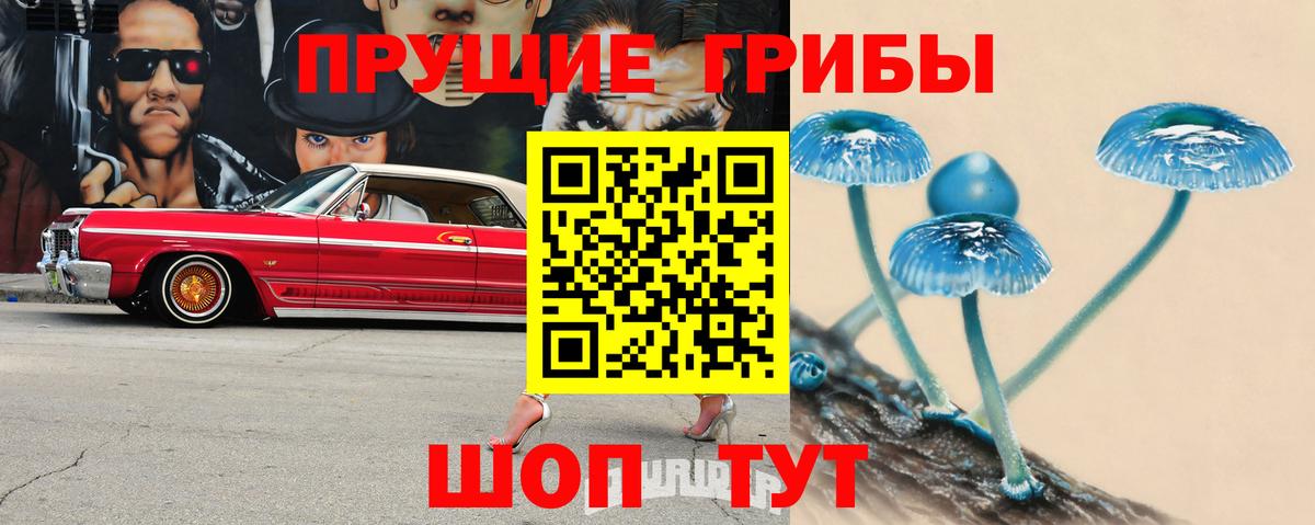 Галлюциногенные грибы MAGIC MUSHROOMS  даркнет сайт  Назрань  Вход с VPN 